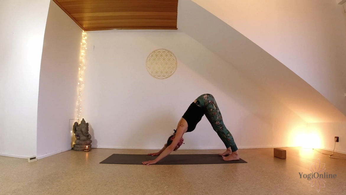 Hatha Yoga 1 Nr. 6 - lange Sequenz